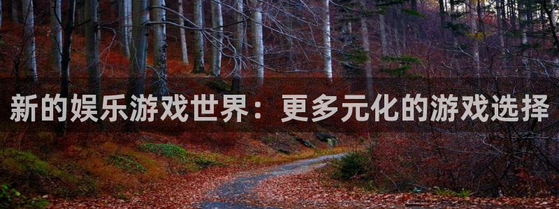 星欧娱乐强制退款流程详解：新的娱乐游戏世界：更多元化的游戏选择