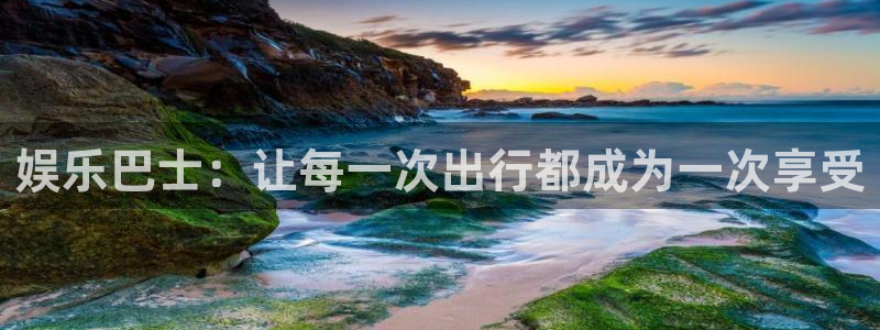 壹号玩家app下载：娱乐巴士：让每一次出行都成为一次享受
