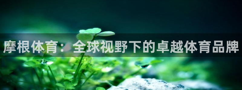 壹号电子娱乐app下载官网：摩根体育：全球视野下的卓越体育品牌