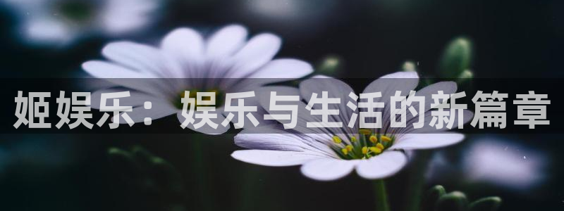 星欧娱乐网页版：姬娱乐：娱乐与生活的新篇章