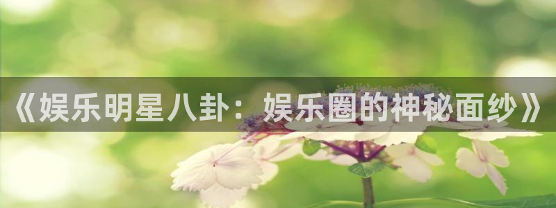 星欧娱乐加拿大：《娱乐明星八卦：娱乐圈的神秘面纱》