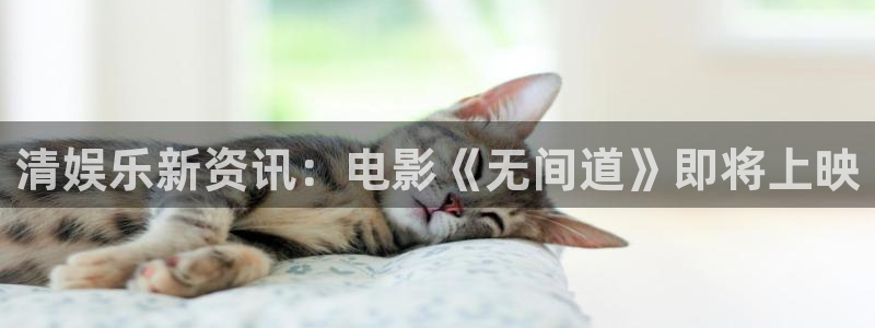 星欧娱乐,apk：清娱乐新资讯：电影《无间道》即将上映