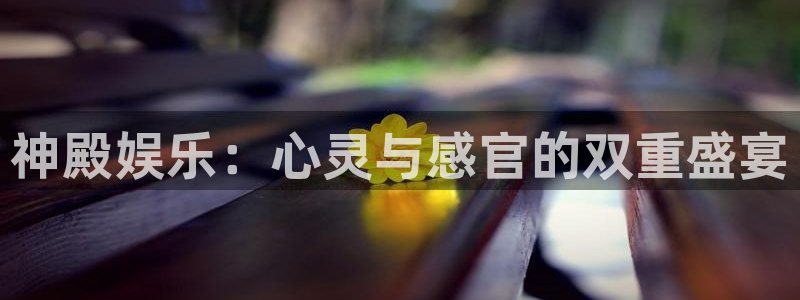 壹号国际app免费下载安装：神殿娱乐：心灵与感官的双重盛宴