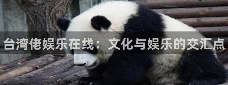 壹号app官方登录入口下载：台湾佬娱乐在线：文化与娱乐的交汇点