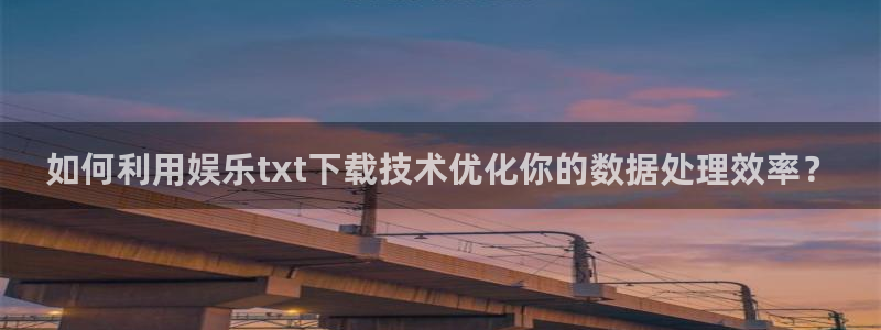 星欧娱乐游戏：如何利用娱乐txt下载技术优化你的数据处理效率？