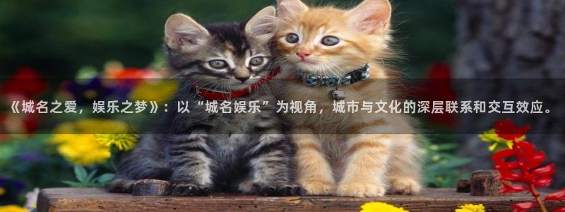 壹号大舞台娱乐传媒：《城名之爱，娱乐之梦》：以“城名娱乐”为视角，城市与文化的深层联系和交互效应。