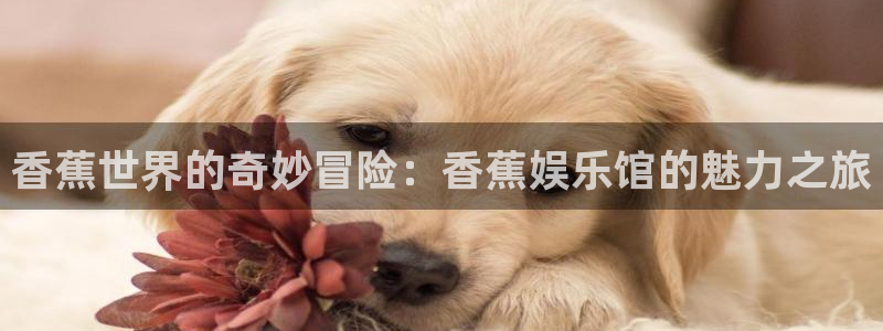 星欧娱乐app注册地址：香蕉世界的奇妙冒险：香蕉娱乐馆的魅力之旅