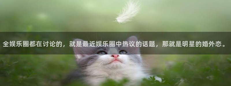 星欧娱乐官方app下载安装：全娱乐圈都在讨论的，就是最近娱乐圈中热议的话题，那就是明星的婚外恋。