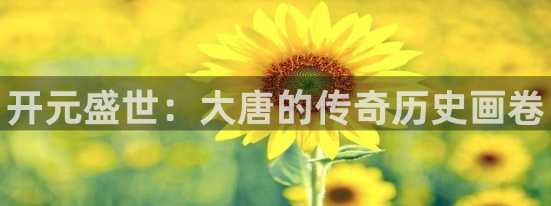 星欧娱乐账号注册：开元盛世：大唐的传奇历史画卷