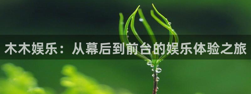 壹号平台下载安装：木木娱乐：从幕后到前台的娱乐体验之旅