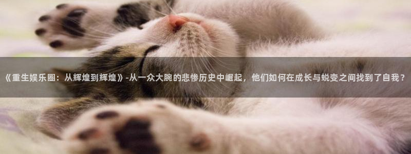 壹号app官网版下载：《重生娱乐圈：从辉煌到辉煌》-从一众大腕的悲惨历史中崛起，他们如何在成长与蜕变之间找到了自我？