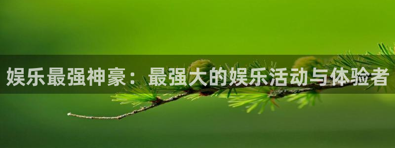 星欧娱乐账号注册