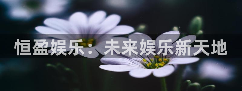 壹号app下载
