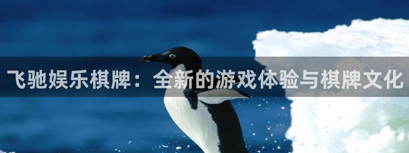 星欧娱乐电子游戏网页版